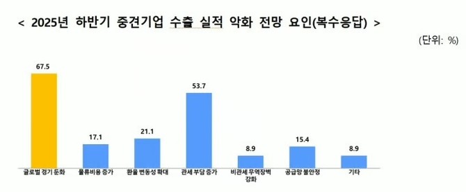 2025년 하반기 중견기업 수출 실적 악화 전망 요인. ⓒ 한국중견기업연합회