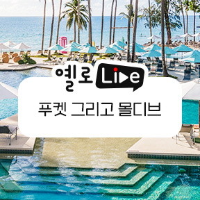 © 노랑풍선
