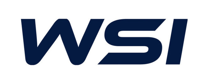 ⓒ 더블유에스아이