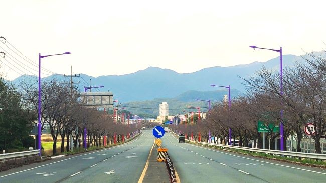 청도군은 지난 6일 국지도 30호선 이서면 샛별교차로에서 각남면 각남회전교차로를 연결하는 길이 5.3km 구간의 이서로 가로등 설치사업을 완료했다. ⓒ 청도군