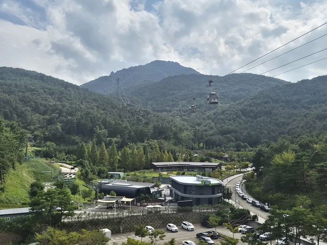 통영시가 '2025년 숲가꾸기 우수 사업지 평가'에서 장려상을 수상하며, 지자체 중 전국 유일하게 우수 사업지로 선정된 케이블카가 운영 되고 있는 숲의 사진. ⓒ 통영시