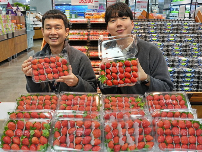 롯데마트는 14일 '무라벨 설향 딸기'를 출시한다. © 롯데마트