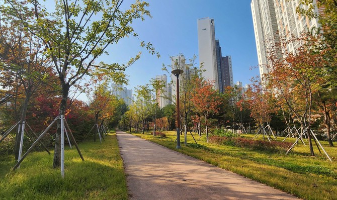 경상북도 구미시 구미국가산업단지 미세먼지 차단숲. ⓒ 산림청