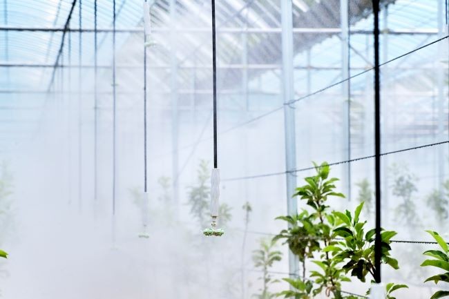 청송군은 농림축산식품부가 시행하는 '2026년 스마트과수원 특화단지 조성' 공모사업에 선정되어 향후 3년간 총사업비 30억원을 확보했다. ⓒ 청송군