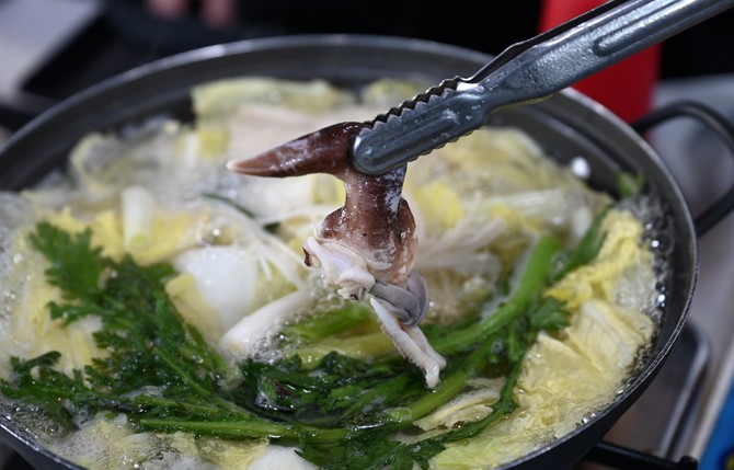 홍성 남당항 새조개. ⓒ 홍성군