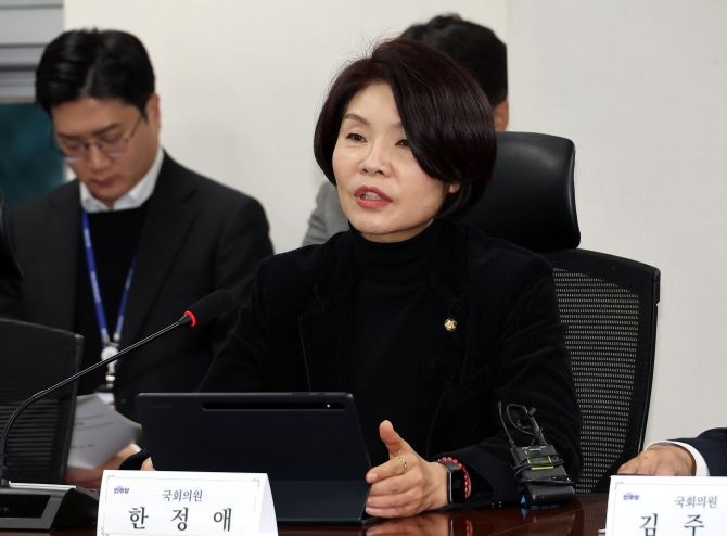 한정애 더불어민주당 정책위의장. © 연합뉴스