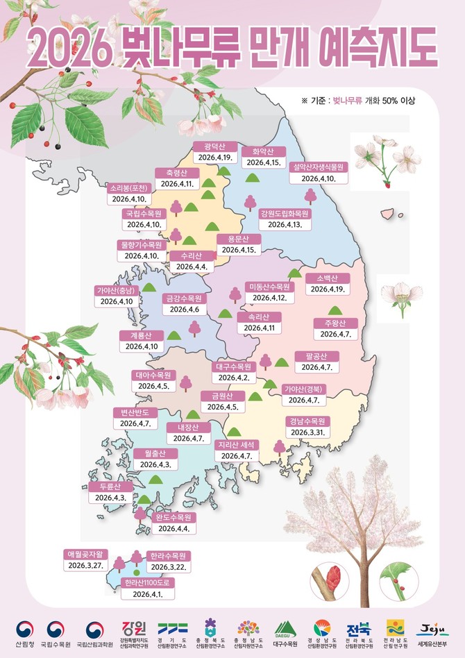 2026년 벚나무류 만개 예측지도. ⓒ 산림청
