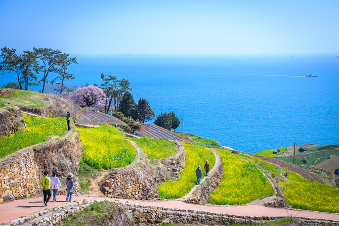 가천 다랭이마을 전경. ⓒ 남해군