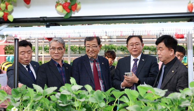 26일 2027 논산세계딸기산업엑스포의 성공 개최를 위한 현장 점검하고 있다. ⓒ 의회사무국
