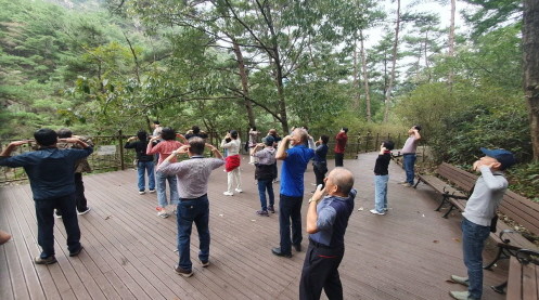 곡성치유의숲에서 소상공인 대상 심리회복 산림치유프로그램을 운영하고 있다. ⓒ 곡성군