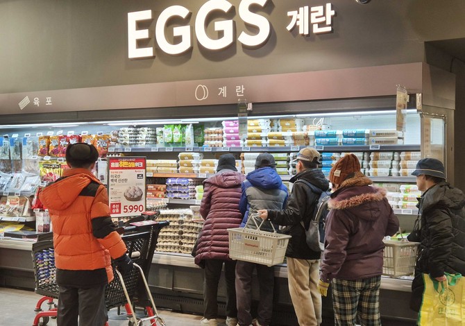 지난 1월 '홈플러스 메가 푸드 마켓 라이브' 강서점 계란 매대 모습. ⓒ 홈플러스