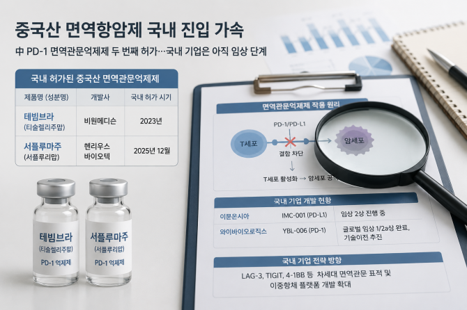 중국 바이오기업들이 면역관문억제제 시장에서도 존재감을 키우는 가운데, 국내 기업들은 차세대 표적과 이중항체 전략으로 경쟁력 확보에 나서는 흐름이다. © 챗GPT