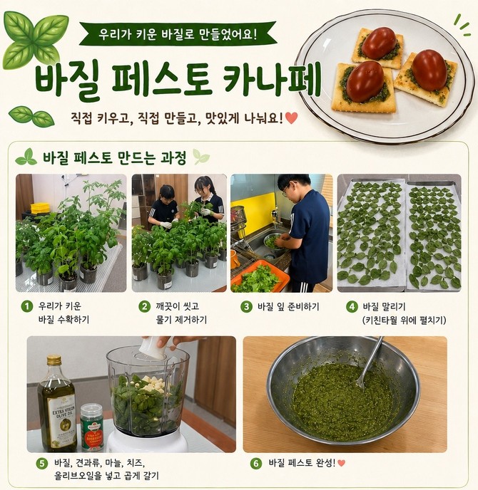 수확 및 바질 페스토 만드는 과정 소 개 자료. ⓒ 세종시교육청
