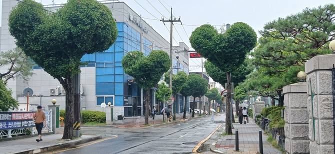 '하트나무 가로수길'이 산림청이 실시한 전국 가로수 관리 우수사례 평가에서 우수상 수상. ⓒ 청주시
