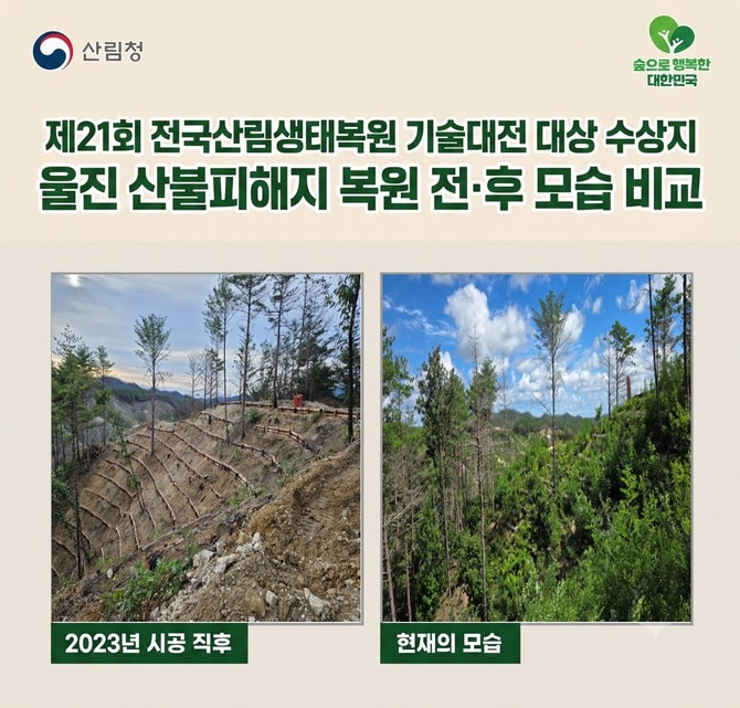 울진 산불피해지 복원 전후 모습 비교. ⓒ 산림청