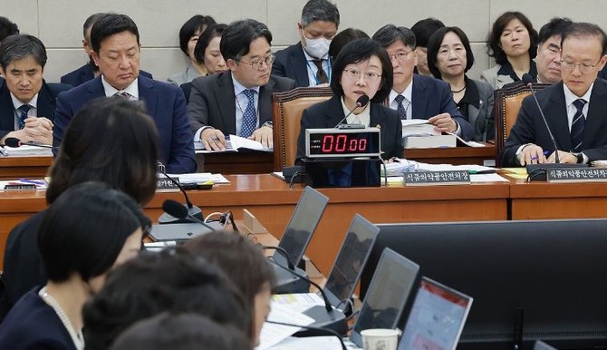 지난 13일 국회 보건복지위원회에서 열린 식품의약품안전처 등에 대한 국정감사. © 연합뉴스