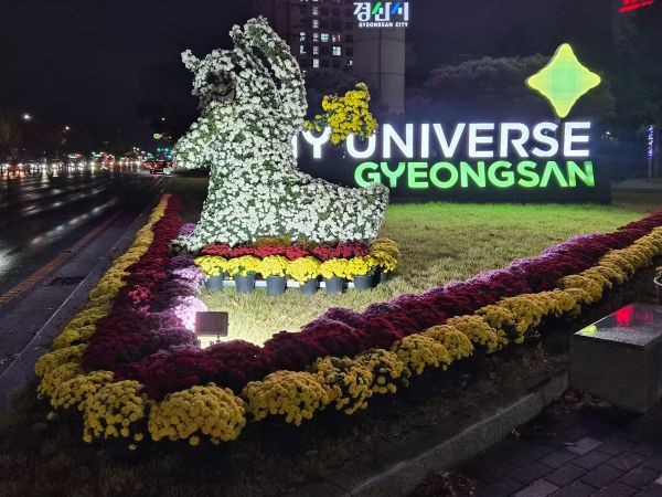 경산사거리에 설치된 경산시 대표 캐릭터 백고미 국화조형물이 야간 조명과 어우러져 화사한 가을밤 풍경을 연출하고 있다. ⓒ 경산시
