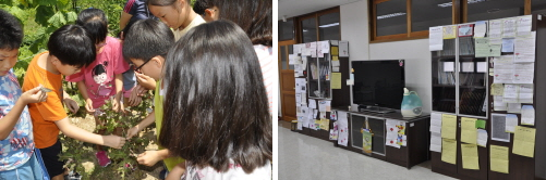  3학년 4반 학생들이 학교 내 텃밭에서 가지나무를 유심히 관찰하고 있다(왼쪽). 1년 365일 문을 열어놓고 있는 교장실에는 학생들로부터 받은 손편지가 빼곡이 장식돼 있다. = 김흥세 인턴기자
